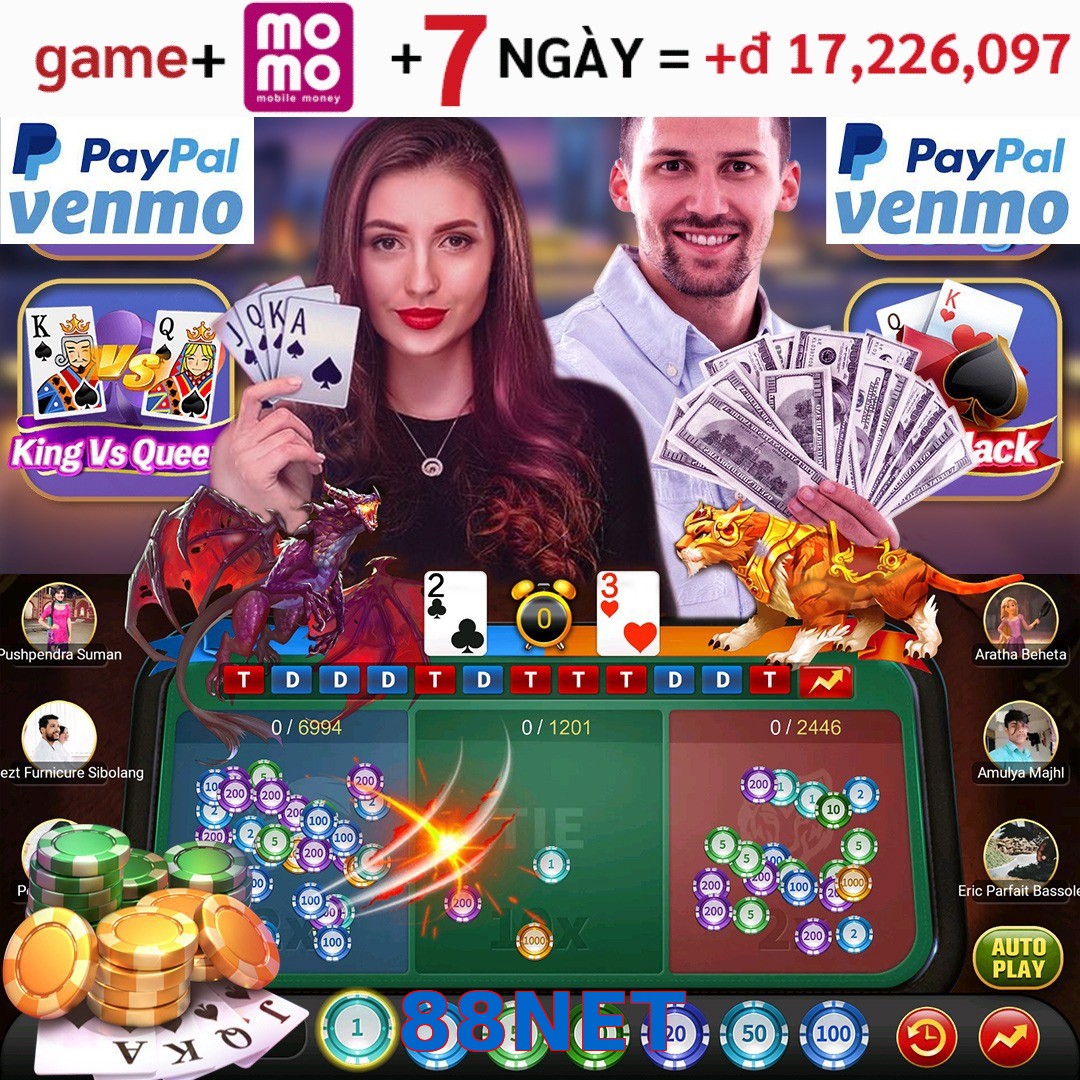 88NET