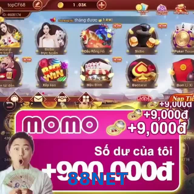 88NET