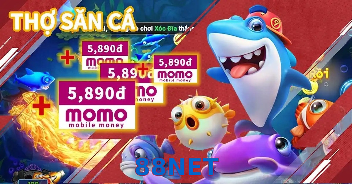88NET