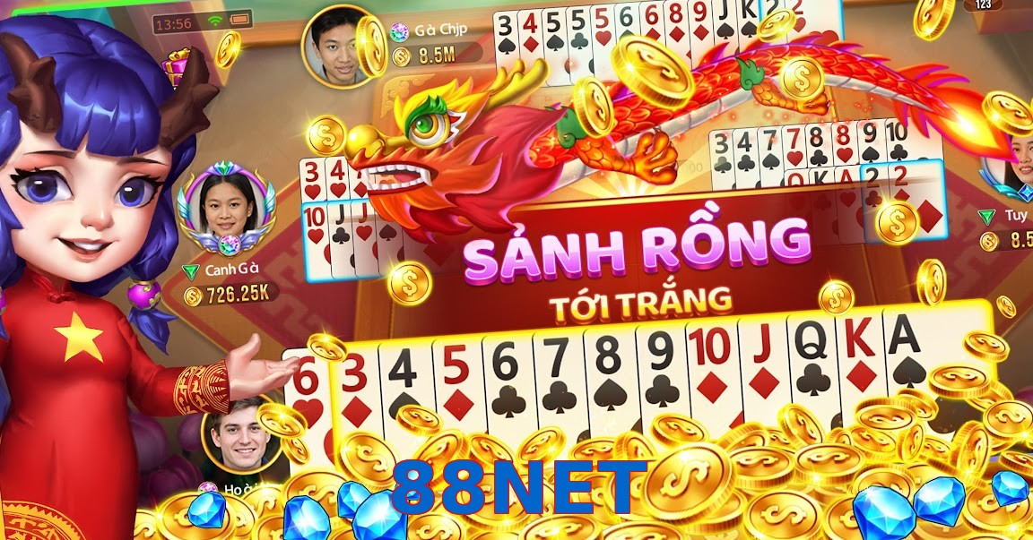 88NET
