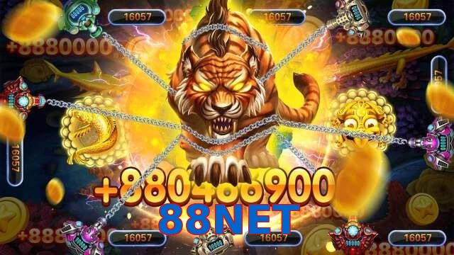 88NET