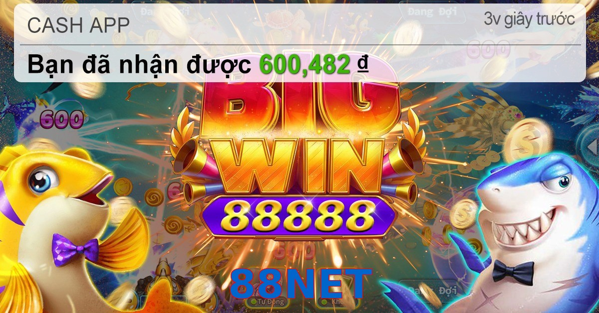 88NET