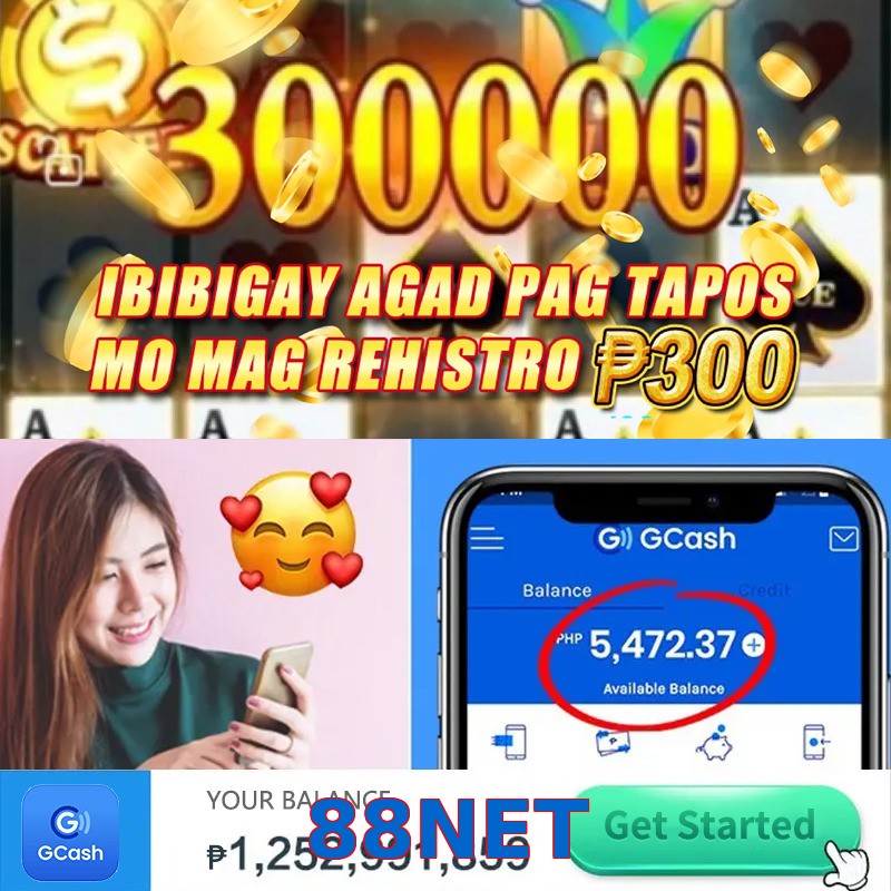 88NET