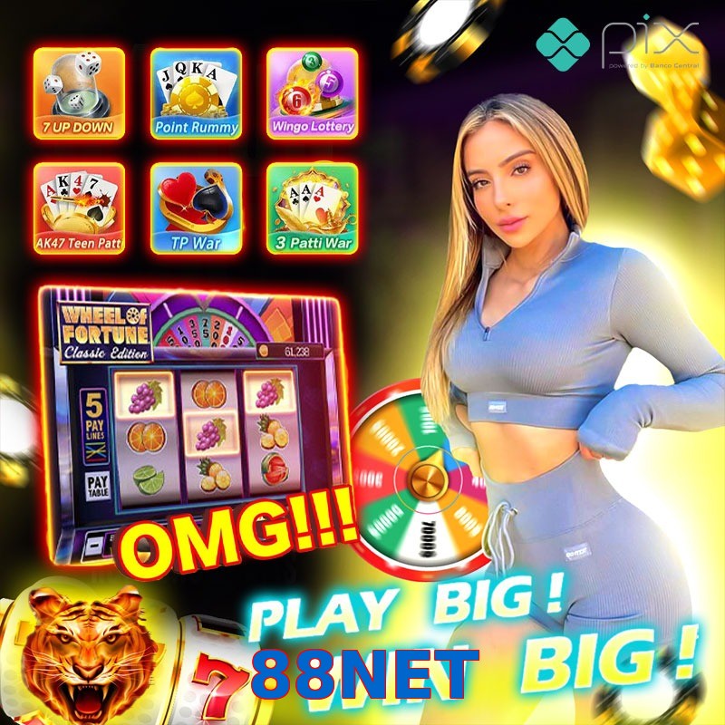 88NET