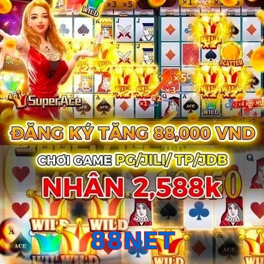 88NET