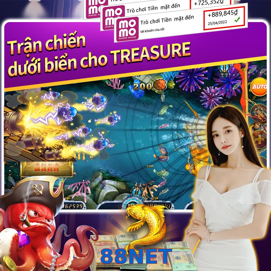 88NET